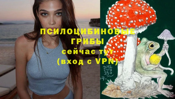 mdpv Алзамай