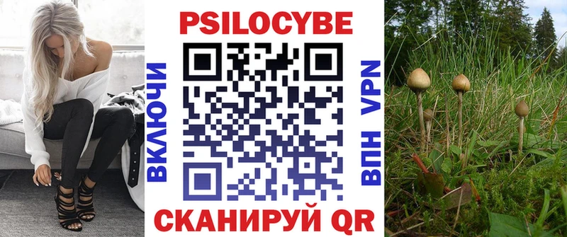 Псилоцибиновые грибы прущие грибы наркошоп ссылка на мегу сайт Юрьев-Польский
